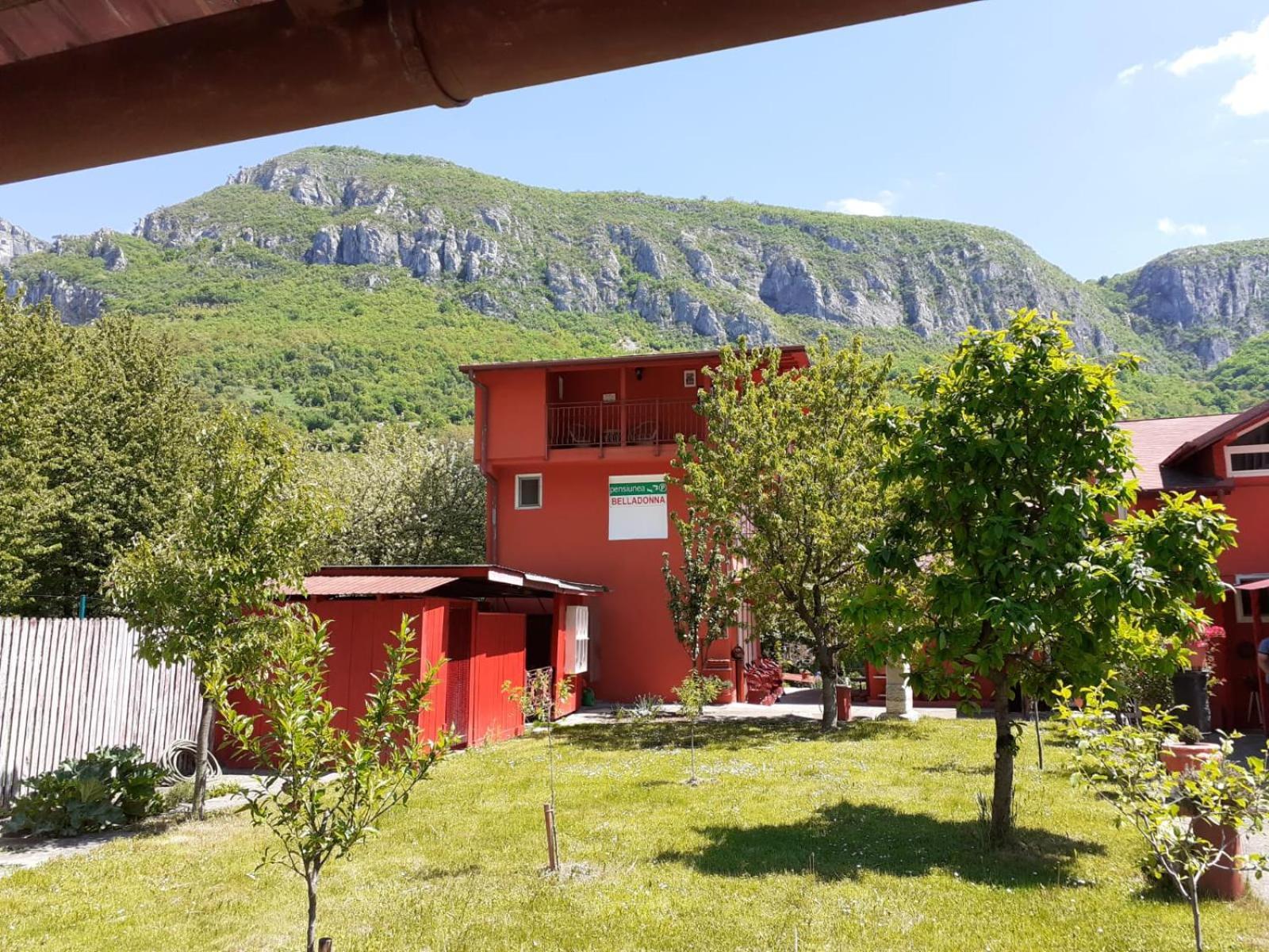 Pensiunea Belladonna Băile Herculane Exterior foto
